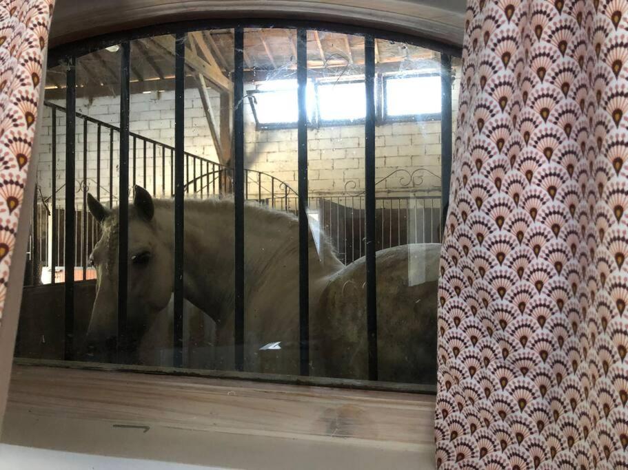 Logement Insolite Au Coeur D'Une Ecurie Арль Экстерьер фото