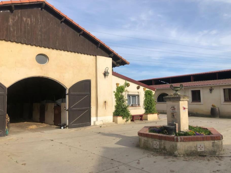 Logement Insolite Au Coeur D'Une Ecurie Арль Экстерьер фото